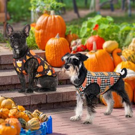 LyssKMK - Paquete de 4 camisas para perros para el día de Acción de Gracias, calabaza, pavo, camisetas sin mangas para perros pequeños y medianos, diseño de hojas y rayas, chalecos sin mangas para