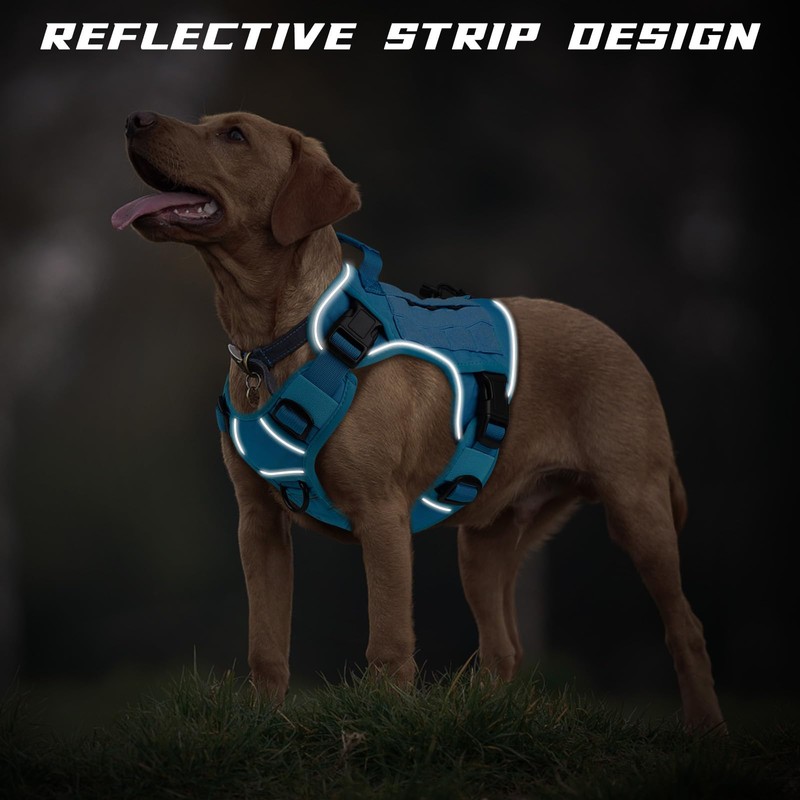 WINGOIN Blue Tactical Dog Harness for Large Dogs No Pull