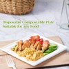 ECOLipak 120 Pack Compostable Paper Plates - 10 & 8