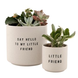 Santa Barbara Design Studio Ceramic Planters for Indoor Plants Small Plant Pots, Set of 2, Say Hello to My Little Friend
