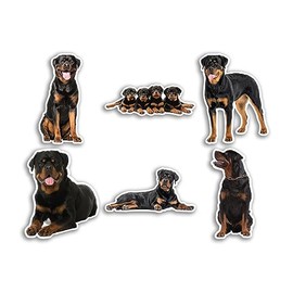 6 x 10cm Rottweiler Vinyl Stickers - Dogs Puppy Animal Funny Pattern Nature Pets Face Wild Girls Boys Travel Scrapbooking #80811