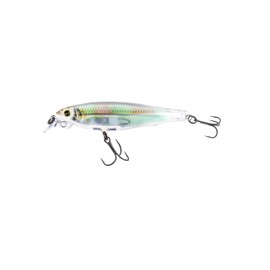 R1308-RGLM 3Dr Minnow, Color, Real Glass Minnow, 70mm 2-3/4"