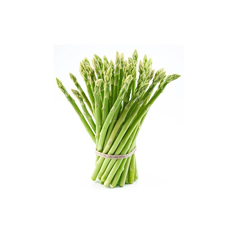 25 2nd Year Mary Washington Variety Asparagus Roots/Plants