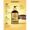Spantra Bhringraj Shampoo 300ml | Promotes Hair Growth | Strengthening