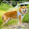 AIITLE Small Dog Harness, No-Pull Pet Harness with a Leash,
