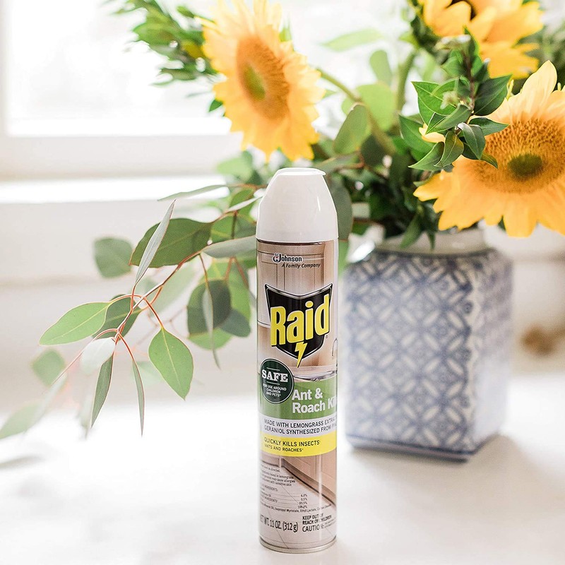 Raid Ant and Roach Killer, Aerosol Spray with Essential Oils