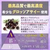 Fukufuku Honpo Platinum Eye Care Supplement, 13 Selected Types, Bilberry,