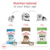 ROYAL CANIN, Adult - Pomeranian, Croquetas para Perro, 1.1kg