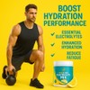 Electrolyte Powder – Zero Sugar Lemon Hydration Mix | 90