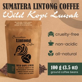 Ground Wild Kopi Luwak, the World’s Most Exclusive Coffee, Sustainably Sourced From Sumatra, Indonesia (Ground Coffee, 100gr)