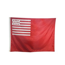 Brandywine Flag - Historic Flag of the American Revolution - Durable Outdoor All-Weather Nylon Flag - Made in USA (12x18" Rectangle)