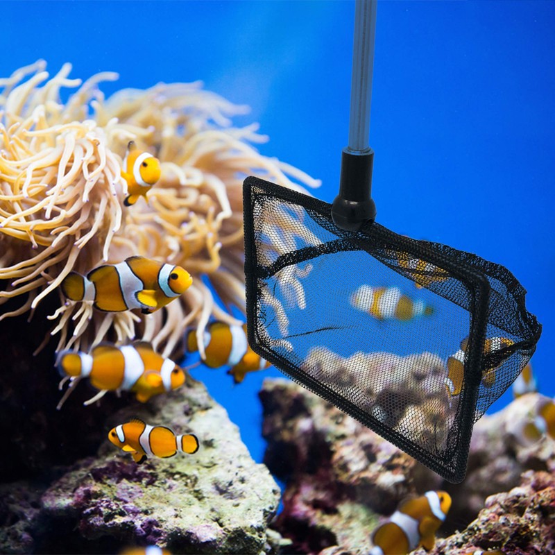 Fine Mesh Fish Tank Net with Long Handle – Aquarium
