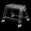 Pinelicorn 2 Step Clear Folding Step Ladder, Photography Stool, Protable