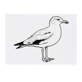 'British Seagull' Temporary Tattoo - Water Resistant, Skin-Safe, Non-Toxic Transfer (TO00069435)