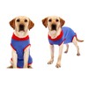Dog Recovery Suit Stretchy Prevent Licking Adjustable Pet Post Surgery