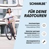 Schwalbe Aerothan Plus Tube 20 Inch AV7E+ High-End Bicycle Inner