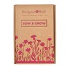 Burgon & Ball Sow & Grow Set