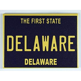 Delaware License Plate Fridge Collector's Souvenir Magnet 2.5" X 3.5"