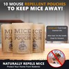 10 Pack All-Natural Mice Repellent Pouches – Harmless Peppermint Essential