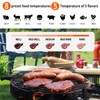 Wireless Meat Thermometer with 2 Propes for Grilling Kitchen Food