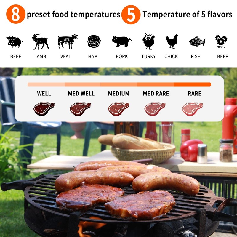 Wireless Meat Thermometer with 2 Propes for Grilling Kitchen Food