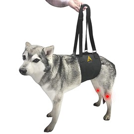 AGON Canine Dog Sling Carrier Support Back Legs Hip Knee Hock Joint Harness to Help Lift Dogs Rear Aid and Old K9 Cruciate (Large, Black)