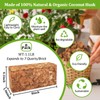 Riare 8 Pack Coco Chips Substrate for Plants- 8.8lb 100%