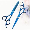Healvian 2pcs Professional Hair Cutting Scissors for Home Use Blue