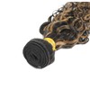 ALHER #F1B/27 Blonde Highlight Water Wave Human Hair Bundles with