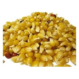 Walnut Creek Amish Popcorn - Ladyfinger