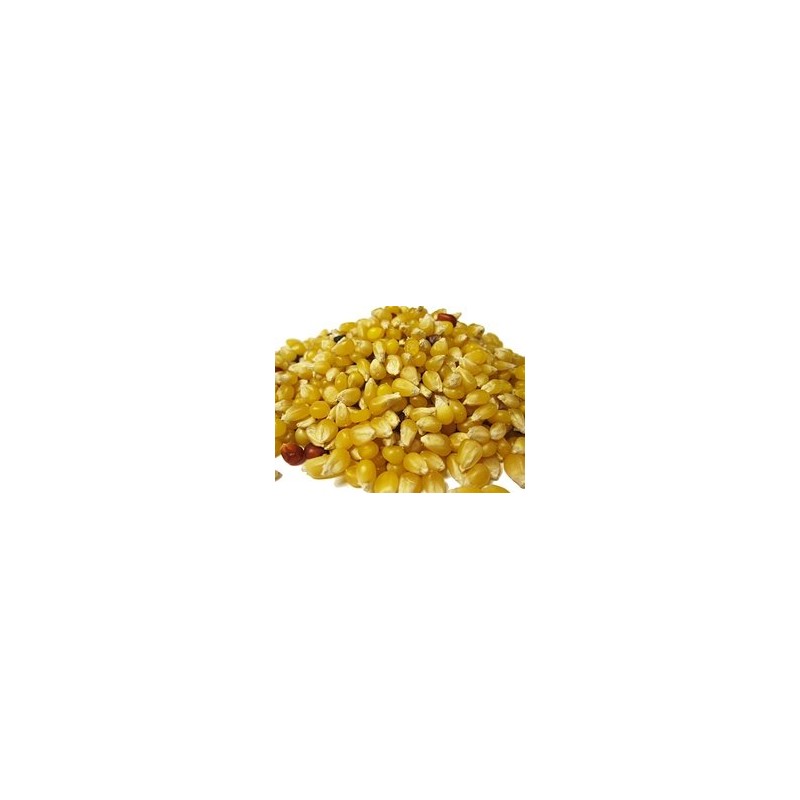 Walnut Creek Amish Popcorn - Ladyfinger