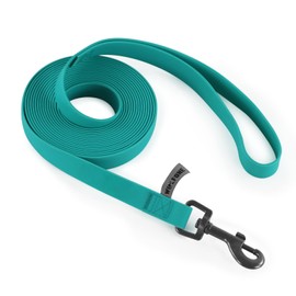 Wolfone 5ft Viridian Green Dog Leash，Waterproof Training Leash for Small Medium Large Dog， Cute Color Leash for Boys Girly Dog