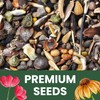 Zinnia California Giants - Large 2,500mg Envelope - 250 Flower