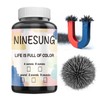 Ninesung Iron Powder, Iron Filings, Iron Powder Filings Magnetic Power