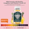 Gomitas Feminine Balance Salud Vaginal Probióticos Piña Hawaiana Zona Intima