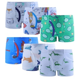 Boboking Little Boys Briefs Dinosaur Toddler Training Underwear Assorted Size 10