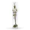 WGV Cylinder Vase, Width 6", Height 24", Clear Tall Glass
