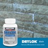 DRYLOK 01908 Masonry Etch, 12-Ounce, White