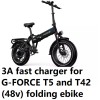 coming data fast 3A battery Charger for G-FORCE T5 and