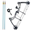 Southland Archery Supply SAS Scorpii 55 Lb 29" Compound Bow