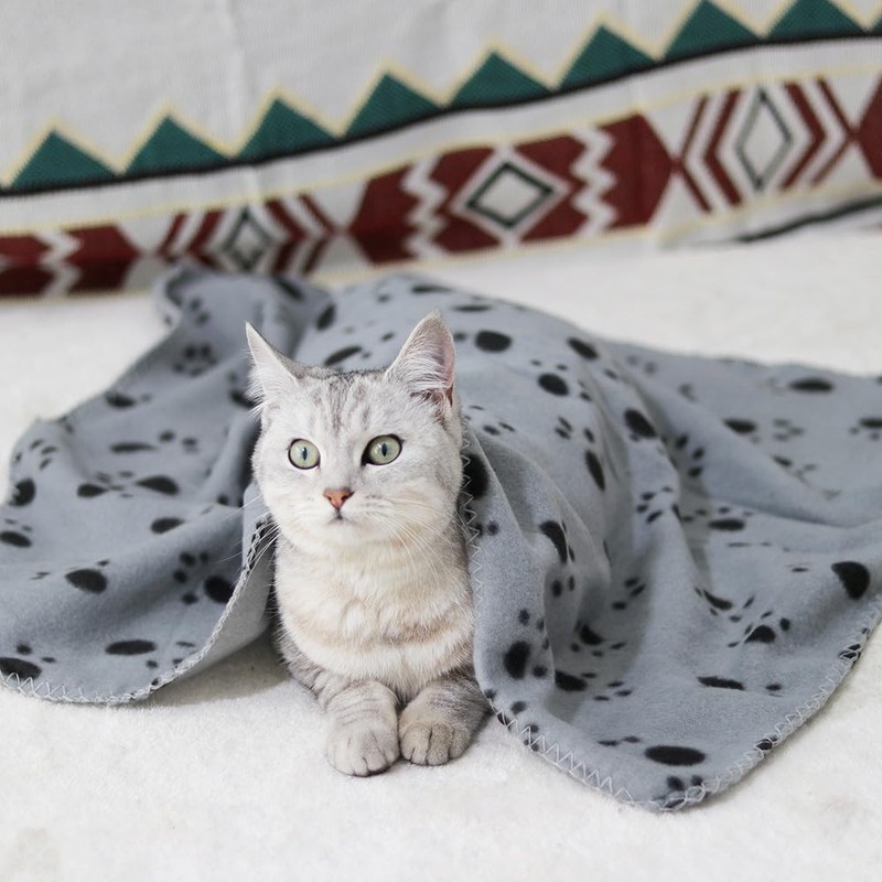 TBK Pets Double-Sided Fleece Pet Blanket, Soft Snuggle Blanket for