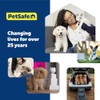 PetSafe Adjustable Martingale Collar - Only Tightens When Dogs Pull,