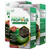 LABO Nutrition Brazilian Green Propolis Ultimate – Propolis Extract with