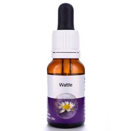 Living Essences Wattle 100ml