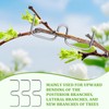 NYZQIW Pack of 30 Branch Pullers for Fruit Trees, Branch