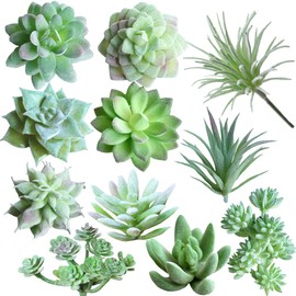 11 Pcs Mini Artificial Succulents Picks Unpotted Faux Succulent Assortment in Flocked Green in Different Type Different Size Succulents Echeveria Agave Floral Arrangement Mother Day' s Gift