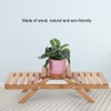 Wooden Standing Foldable 2-layered Potted Plant Flower Shelf Storage Rack