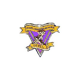 Snowflake Designs Level 7 State Championships Gymnastics Pin - #1627