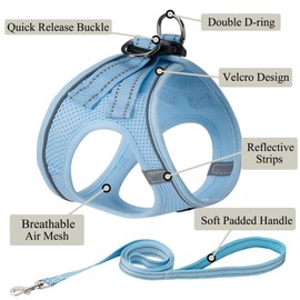 Dog Harness with Leash Set, No Pull Adjustable Reflective Step-in Puppy Pet Vest Harnesses for Small Medium Large Dogs and Cats,Sky Blue S
