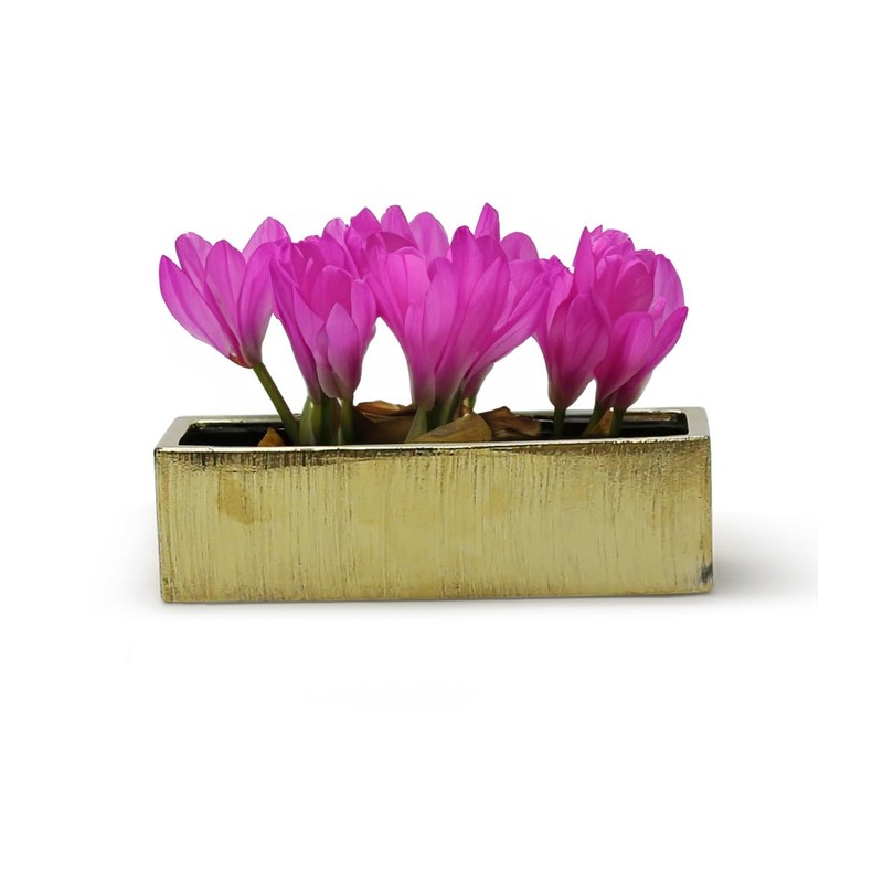 WGVI Long Rectangle Ceramic Planter Vase in Gold Etched 14"